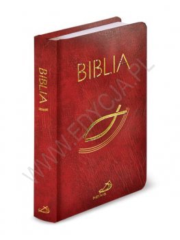 Biblia z kolorową wkładką – bordowa Edycja