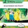 Skąd się wzięły ptaki?