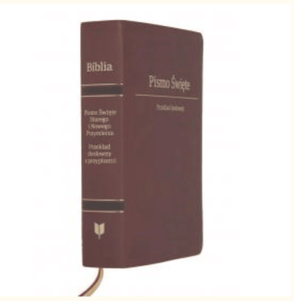 Biblia EIB - PU dosłowny przekład brąz zamek ind