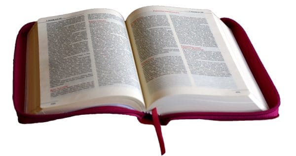 Biblia dla kobiet – zamek malinowa Paulińska