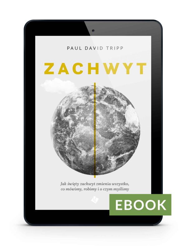 Zachwyt E-book