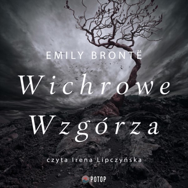 Wichrowe Wzgórza - audiobook plik mp3