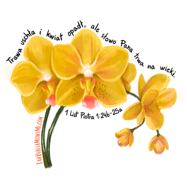 Naklejka – Orchidea