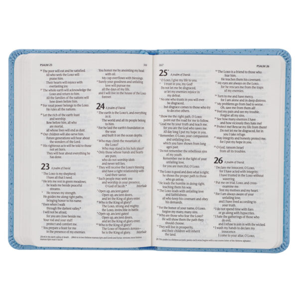 Blue NLT New Testament Keepsake Bible for Boys