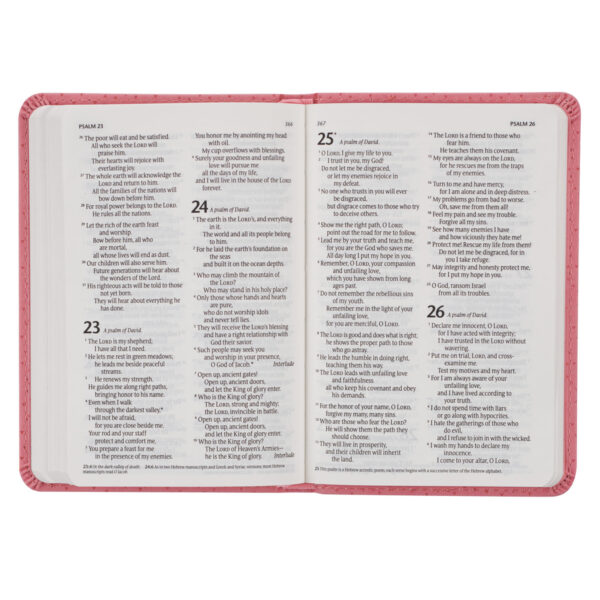 Pink NLT New Testament Keepsake Bible for Girls