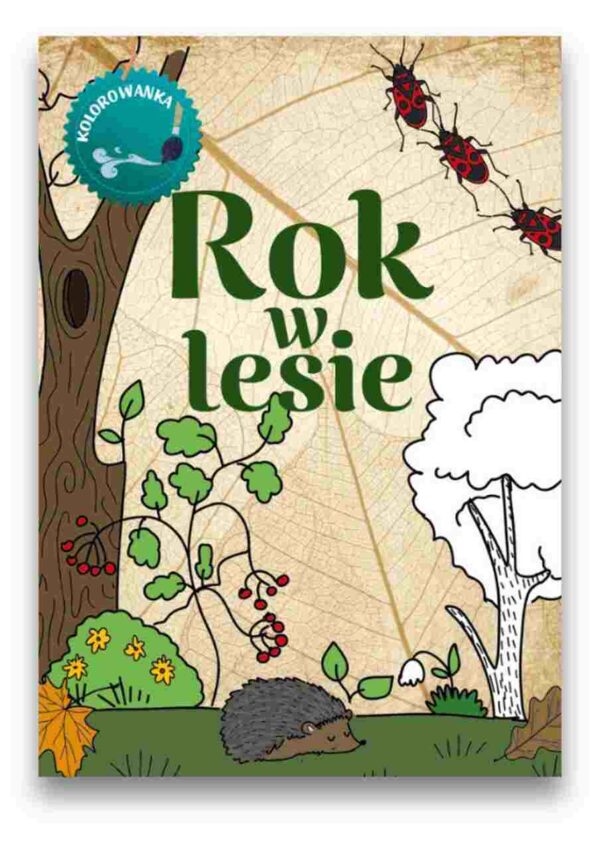 Rok w lesie – kolorowanka