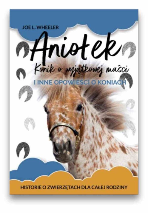 Aniołek – konik o wyjątkowej maści