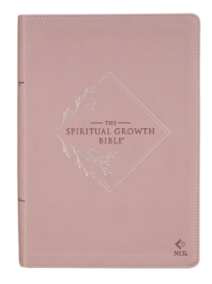 Dusty Mauve Faux Leather Spiritual Growth Bible