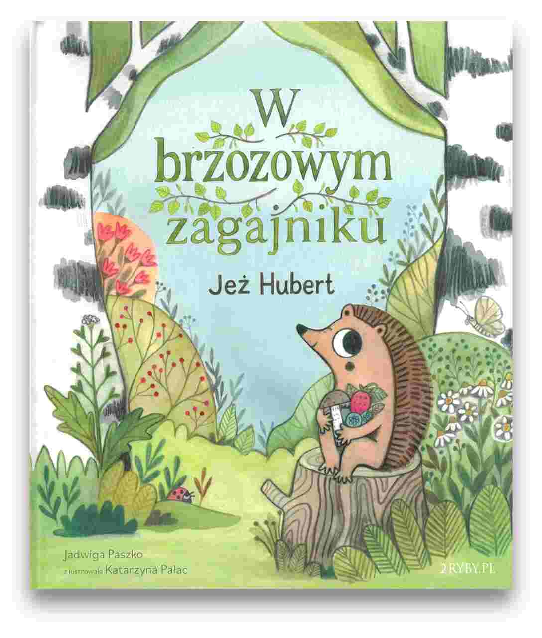 W brzozowym zagajniku - Jeż Hubert W brzozowym zagajniku – Jeż Hubert