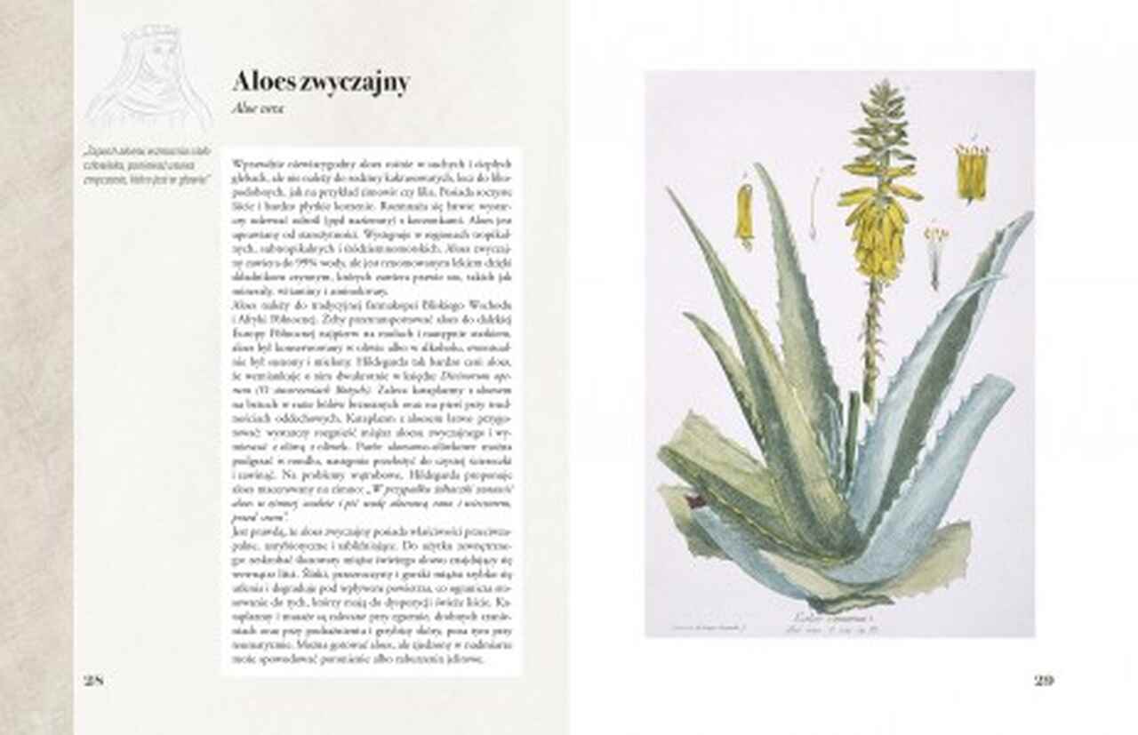 Ilustrowany zielnik Hildegardy z Bingen Ilustrowany zielnik Hildegardy z Bingen