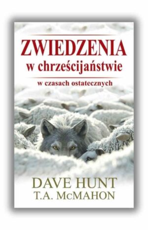 Zwiedzenia w chrześcijaństwie