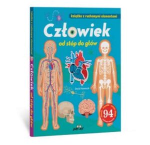 Człowiek od stóp do głów - ruchome elementy Człowiek od stóp do głów – ruchome elementy