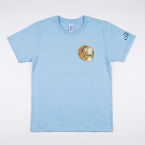 T-shirt – The Chosen – Niebieski 12 lat