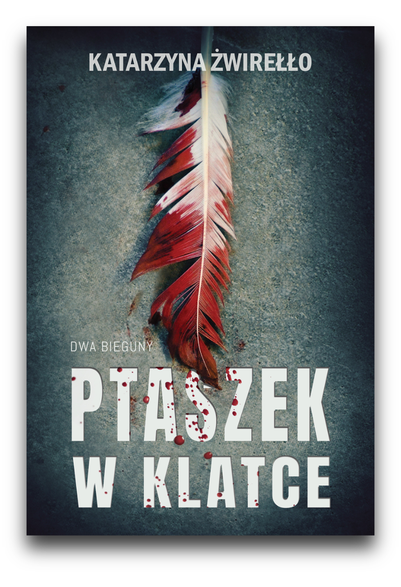 Ptaszek w klatce Ptaszek w klatce