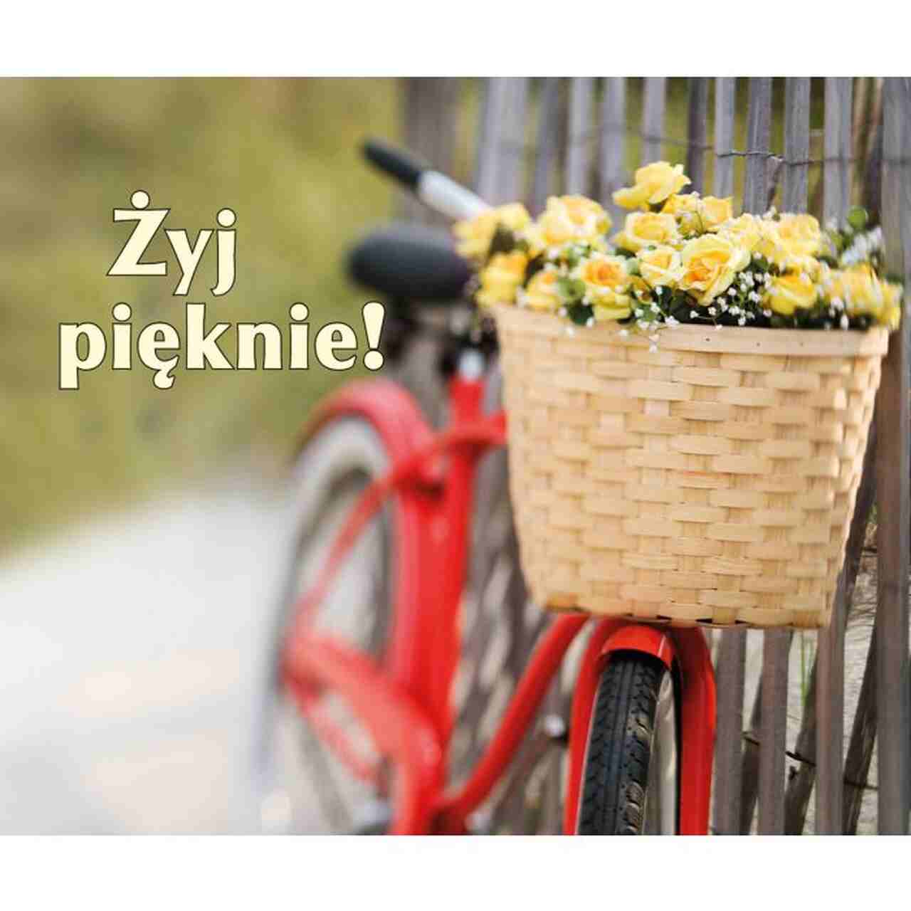 Perełka 109 - Żyj pięknie Perełka 109 – Żyj pięknie