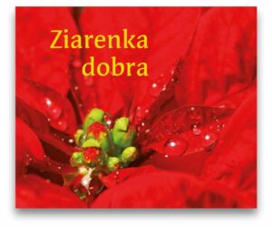 Perełka 173 - Ziarenka dobra Perełka 173 – Ziarenka dobra