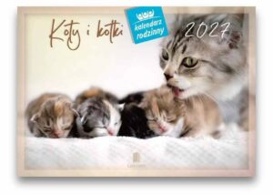 Kalendarz 2027 - Rodzinny - koty Kalendarz 2027 – Rodzinny – koty